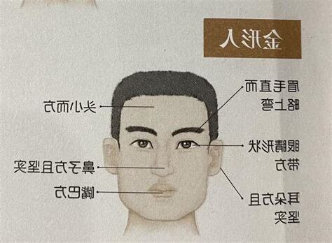 金行人面相