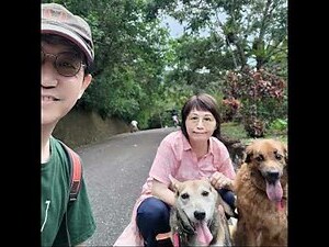 拱豬