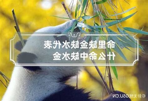 缺金缺水