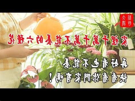 家裡不能種的花