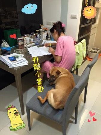養兩隻狗迷信