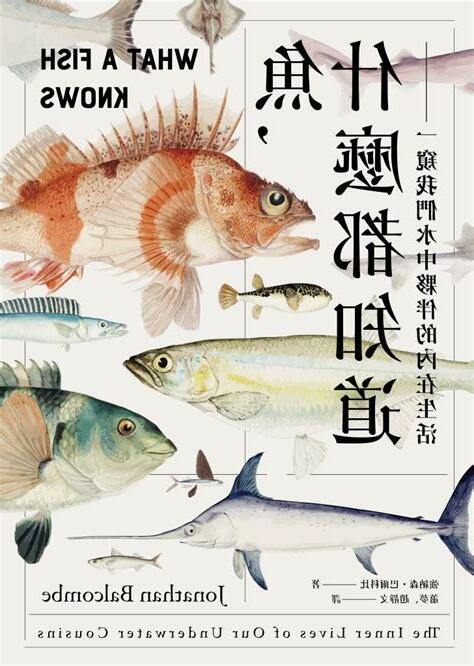 魚説什麼