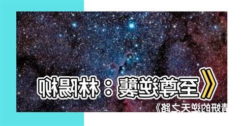 林陽柳清妍