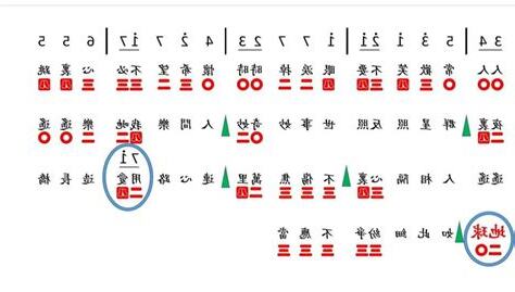 數字人生意思