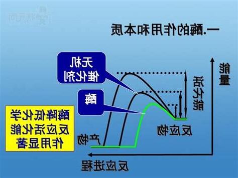 催化作用