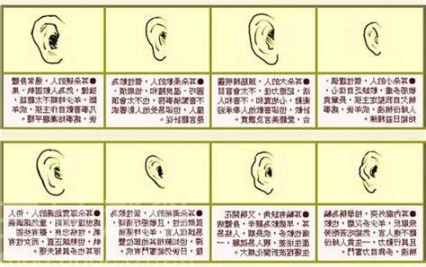 蝴蝶耳面相