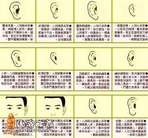 尖耳朵面相