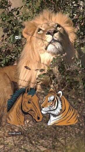 西方動物象徵