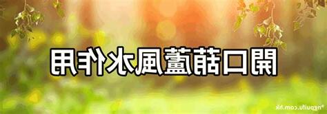 葫蘆口要開嗎