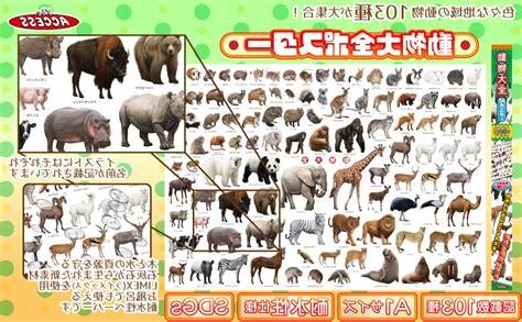 動物大全