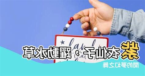 紫衣夢幻旗
