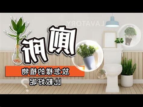 廁所種什麼植物