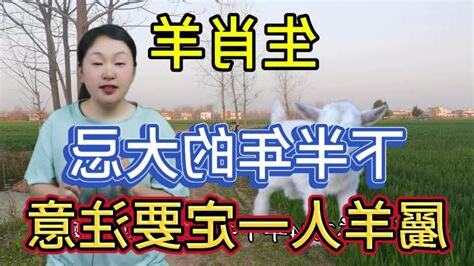 屬羊忌什麼顏色