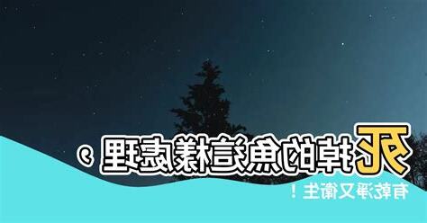 死掉的魚怎麼處理