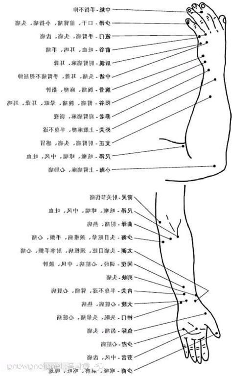 胳膊上的穴位