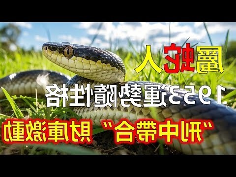 1953年農曆生肖