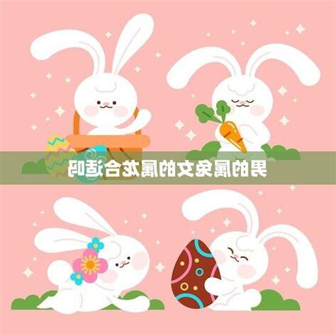 男兔女雞