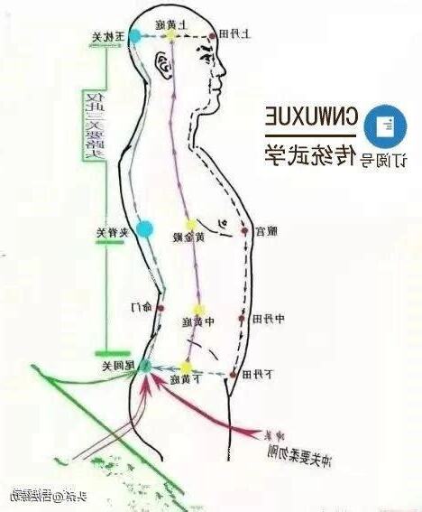 任督二脈走動圖
