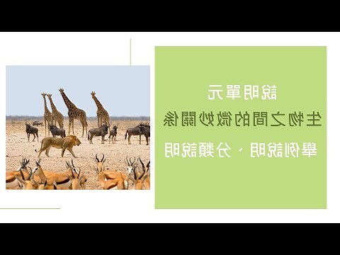 生物之間的微妙關係工作紙答案