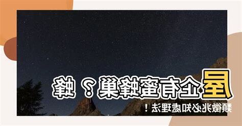 屋企有蜜蜂