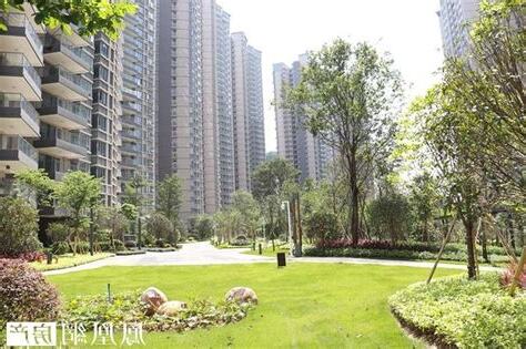 房子曬不到太陽