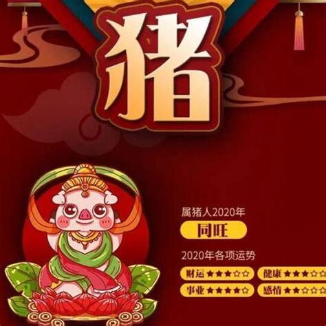 屬豬風水