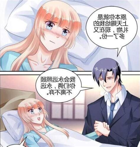 夏暖心傅司南