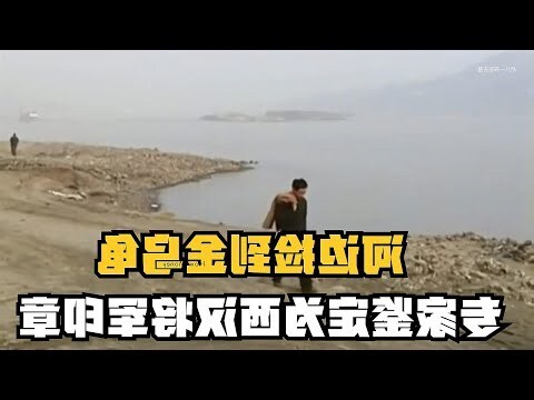 撿到烏龜代表什麼意思