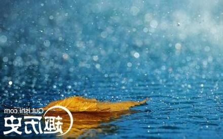 夢見下雨