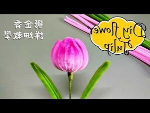 粉紅鬱金香花語