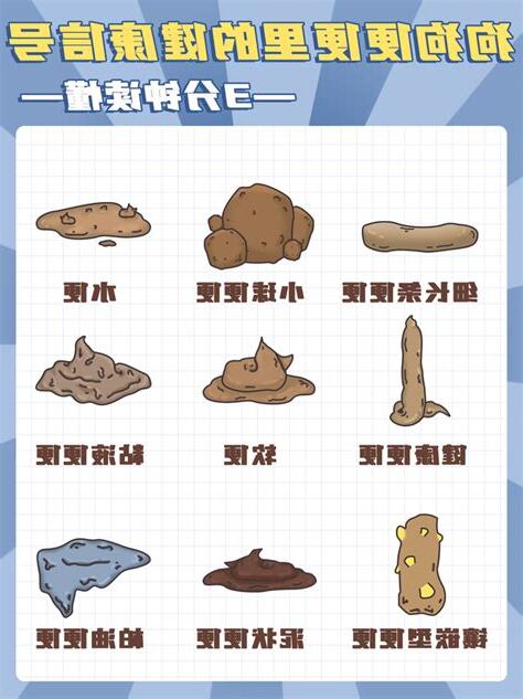 狗狗的大便