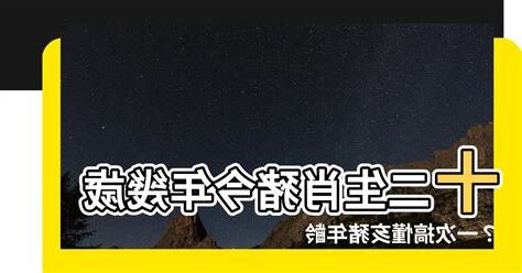 屬豬幾歲