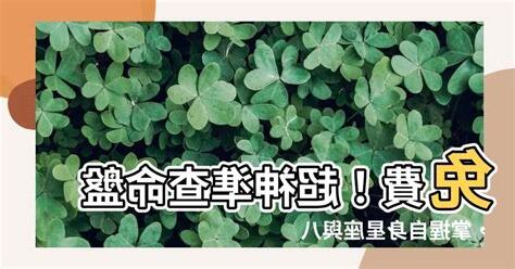 查命盤