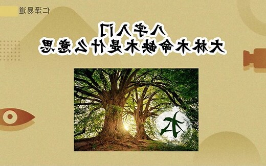 大林木命缺什麼