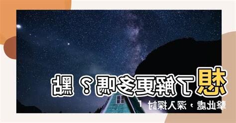 即是什麼