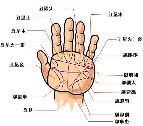 手掌掌紋多