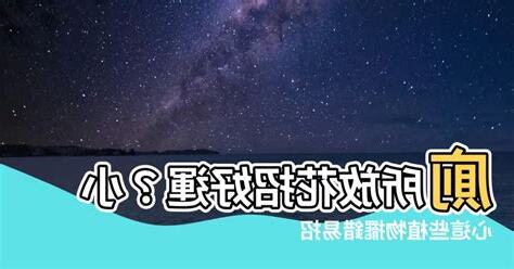 廁所可以放花嗎