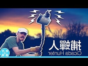 蟬叫聲很吵怎麼辦