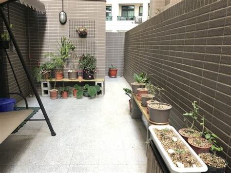 露台植栽