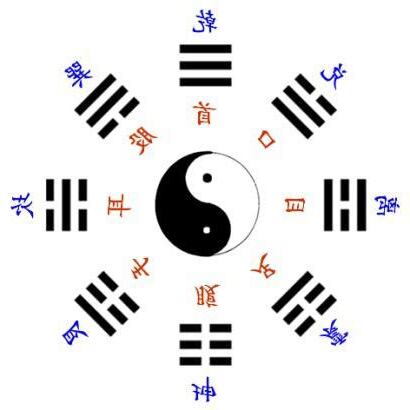 人體八卦