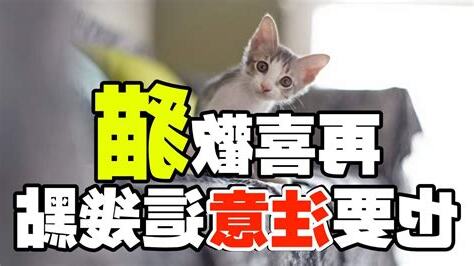 養貓禁忌