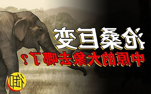 古代大象