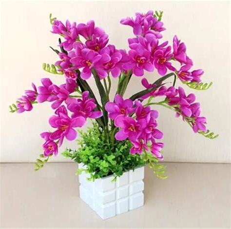 放假花