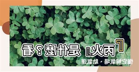 丙火是什麼
