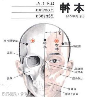 本神穴