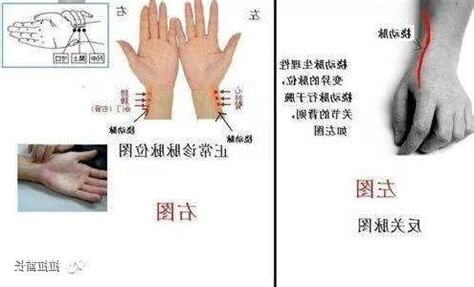 斜飛脈
