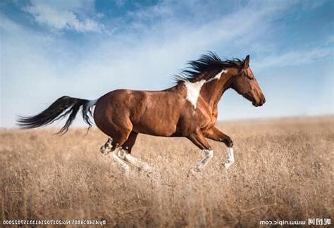 11月9號出生的人