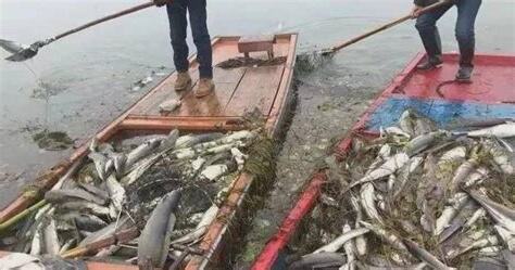 家人身體不好