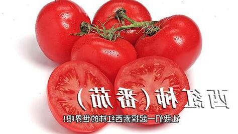 番茄屬性
