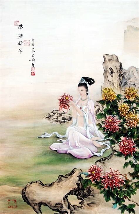 菊花仙子